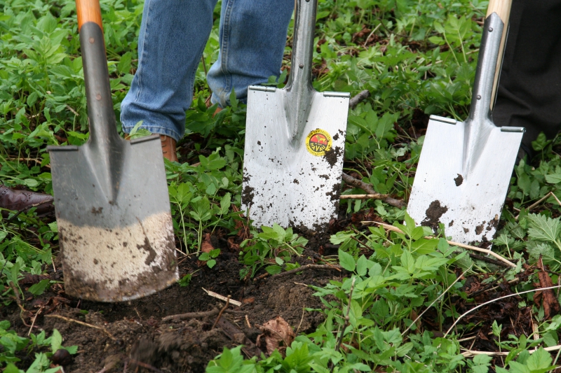 pepiniere-ROQUEBRUNE CAP MARTIN-min_work-lawn-flower-tool-green-backyard-1103633-pxhere.com